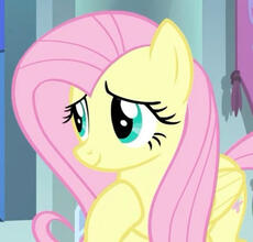 Flutters